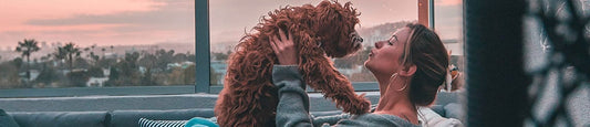 Can Humans Take Pet CBD Oil?