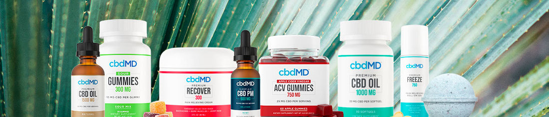 The Best CBD Products for 2022: cbdMD