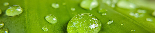 Where to Find Safe CBD Vape Juice Additives