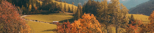 October 2019 Quick Hits