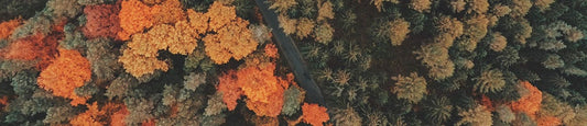 CBD News: September 2019